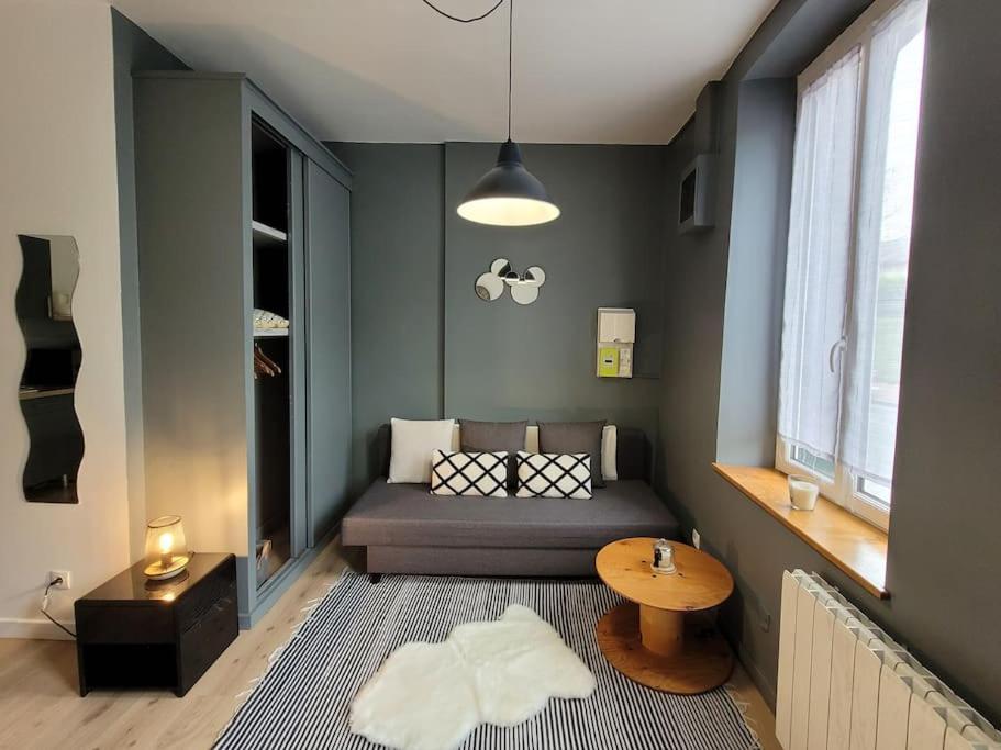 Studio Prive Centre Saint Louis Монтаржі Екстер'єр фото
