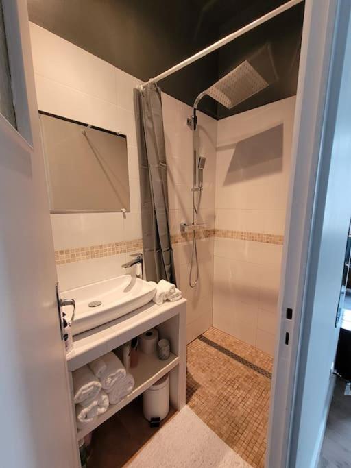 Studio Prive Centre Saint Louis Монтаржі Екстер'єр фото